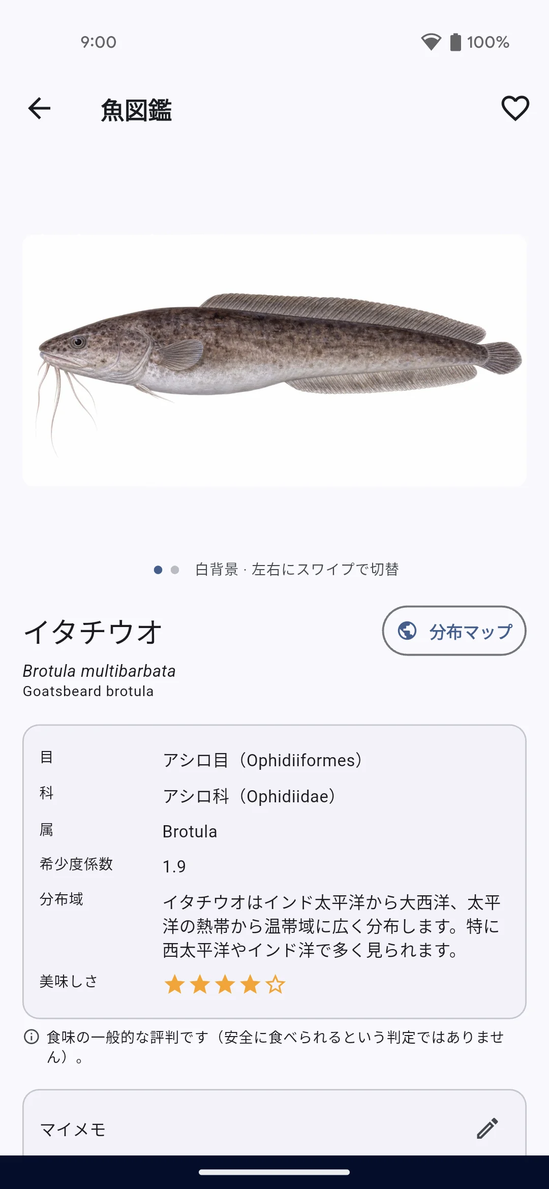 イタチウオのイラストと、左右スワイプによる白背景切替案内を表示した魚図鑑の実機画面