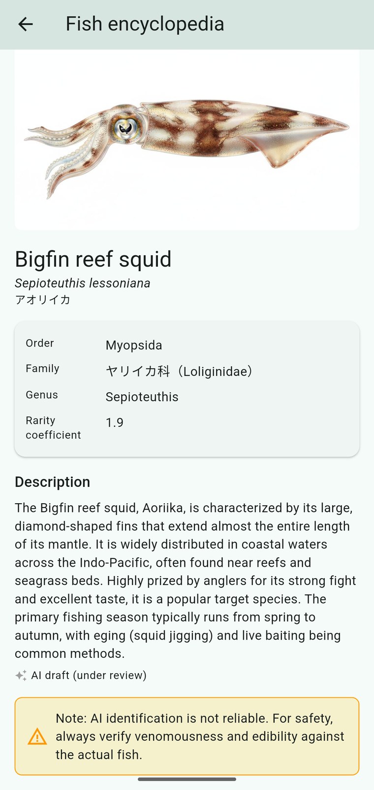 アプリの魚図鑑でアオリイカ（Bigfin reef squid）を表示している画面