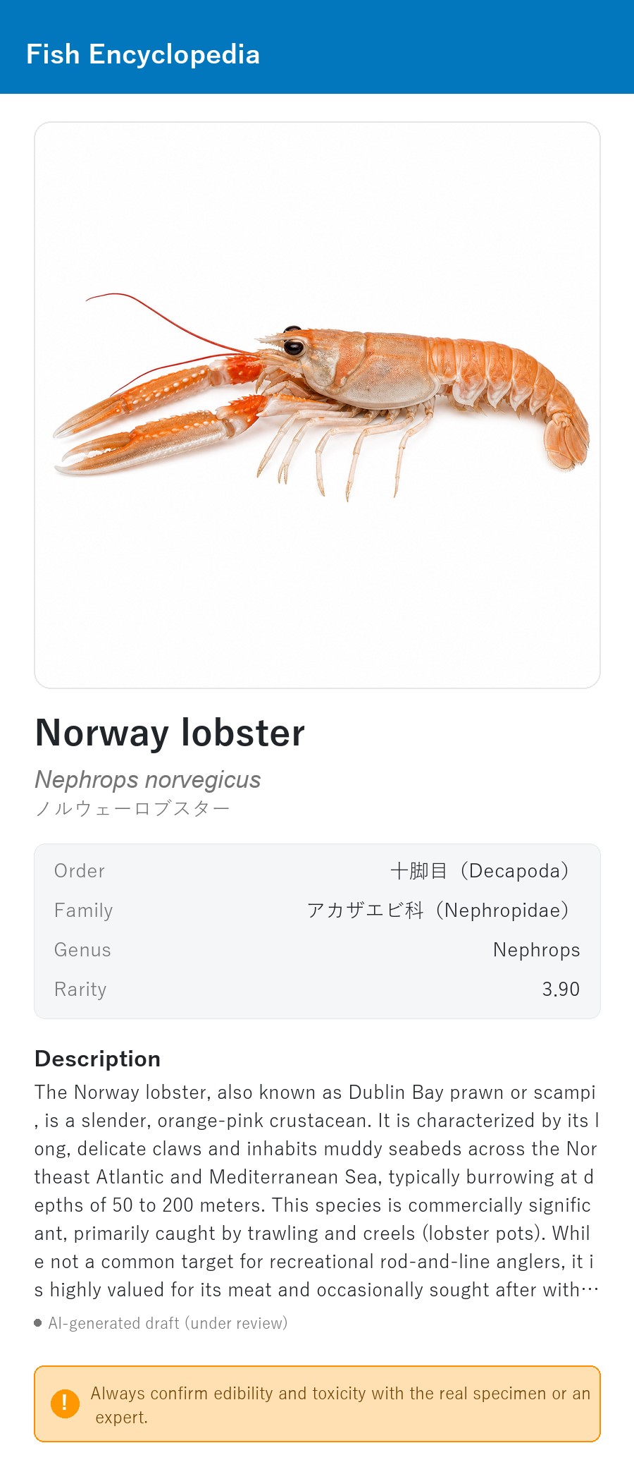 アプリの魚図鑑（英語表示）でノルウェーロブスター（Norway lobster）を表示している画面