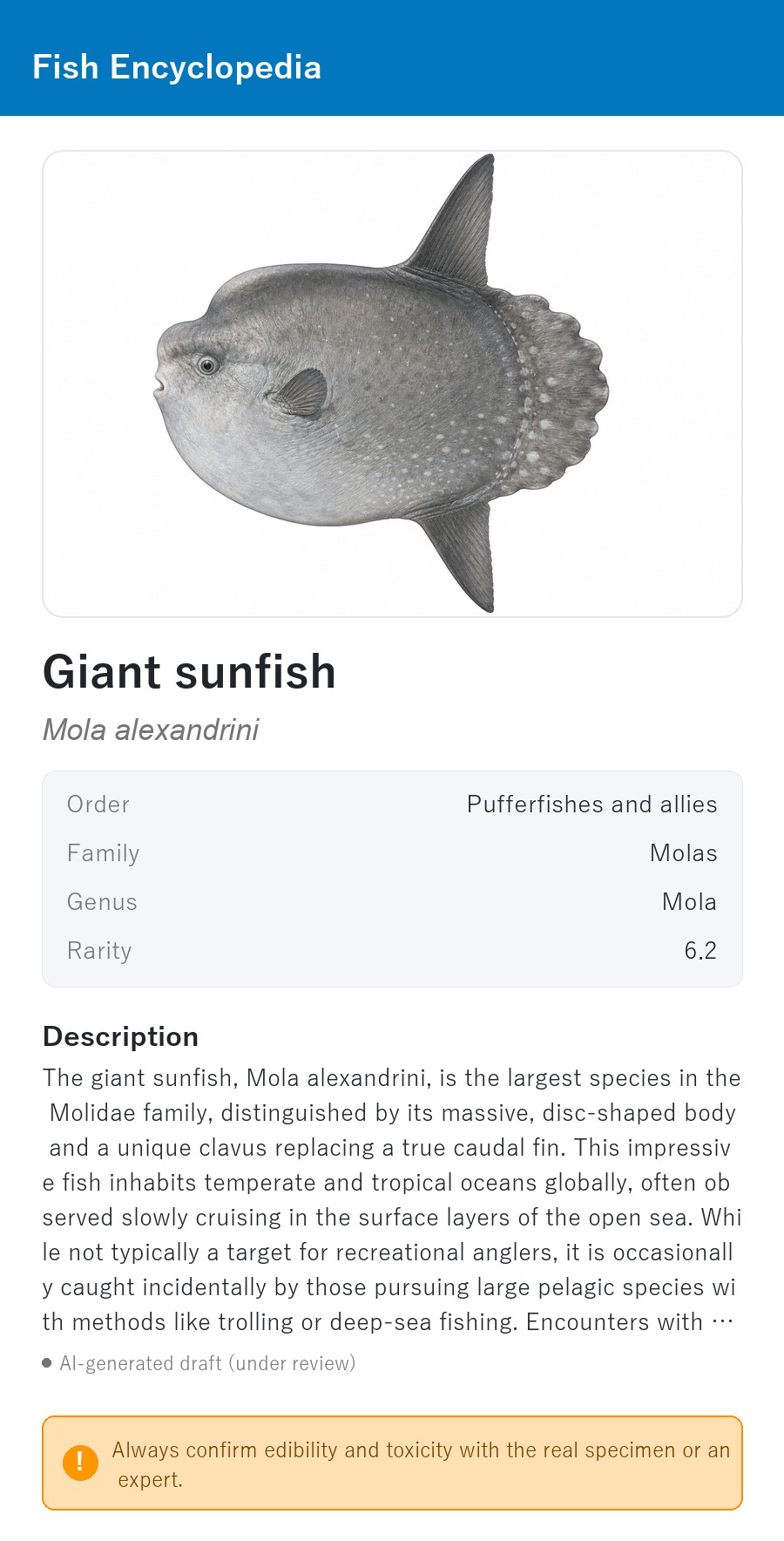 アプリの魚図鑑（英語表示）でGiant sunfishを表示している画面