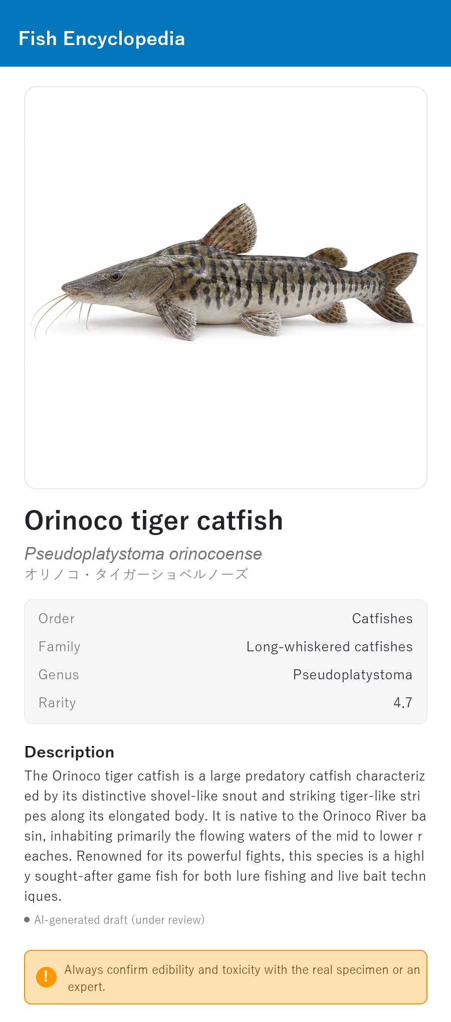 アプリの魚図鑑（英語表示）でOrinoco tiger catfishを表示している画面