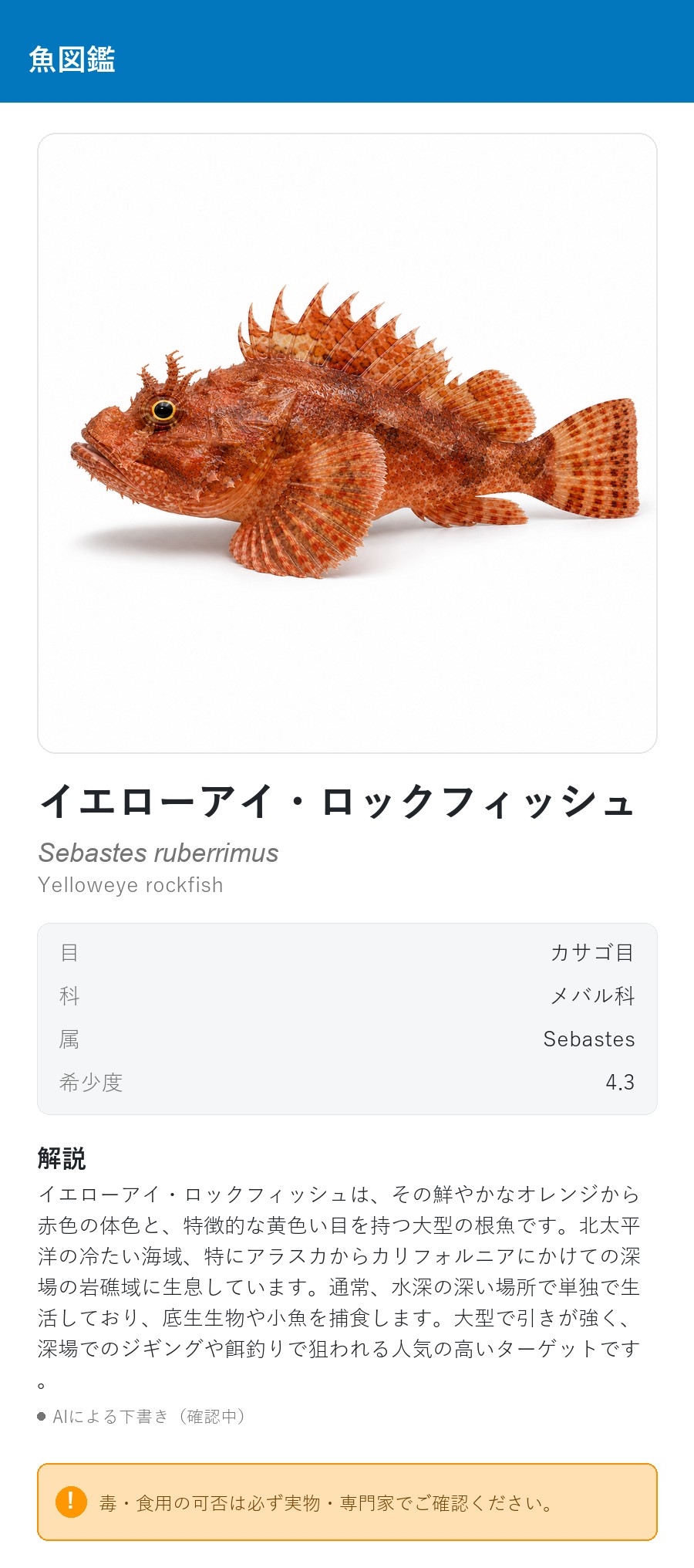 アプリの魚図鑑（日本語表示）でイエローアイ・ロックフィッシュを表示している画面