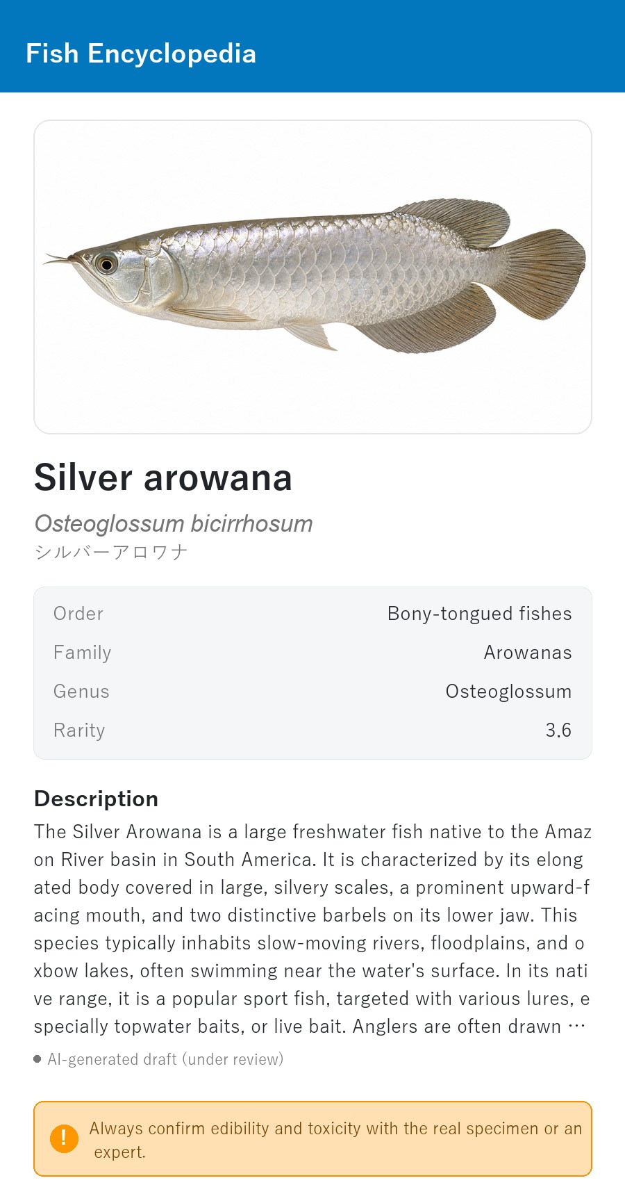 アプリの魚図鑑（英語表示）でSilver arowanaを表示している画面
