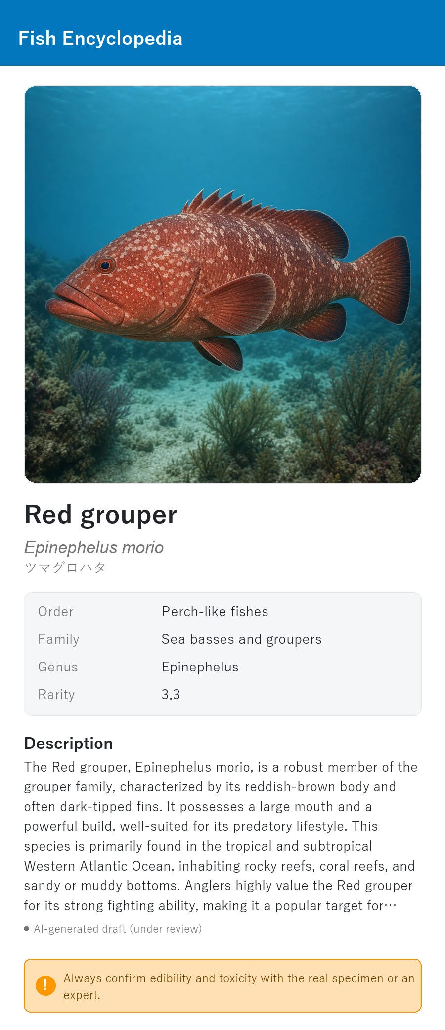 アプリの魚図鑑（英語表示）でRed grouperの生息イメージのイラストを表示している画面