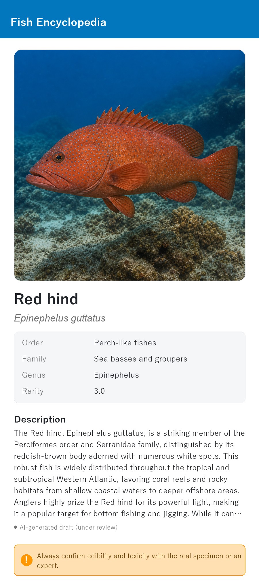 アプリの魚図鑑（英語表示）でRed hindの生息イメージのイラストを表示している画面