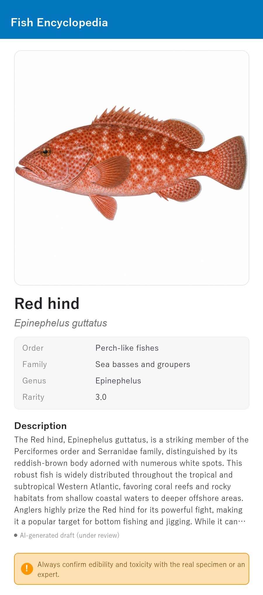 アプリの魚図鑑（英語表示）でRed hindの白背景イラストを表示している画面