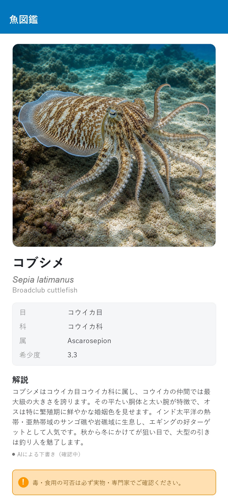 アプリの魚図鑑（日本語表示）でコブシメの生息イメージのイラストを表示している画面