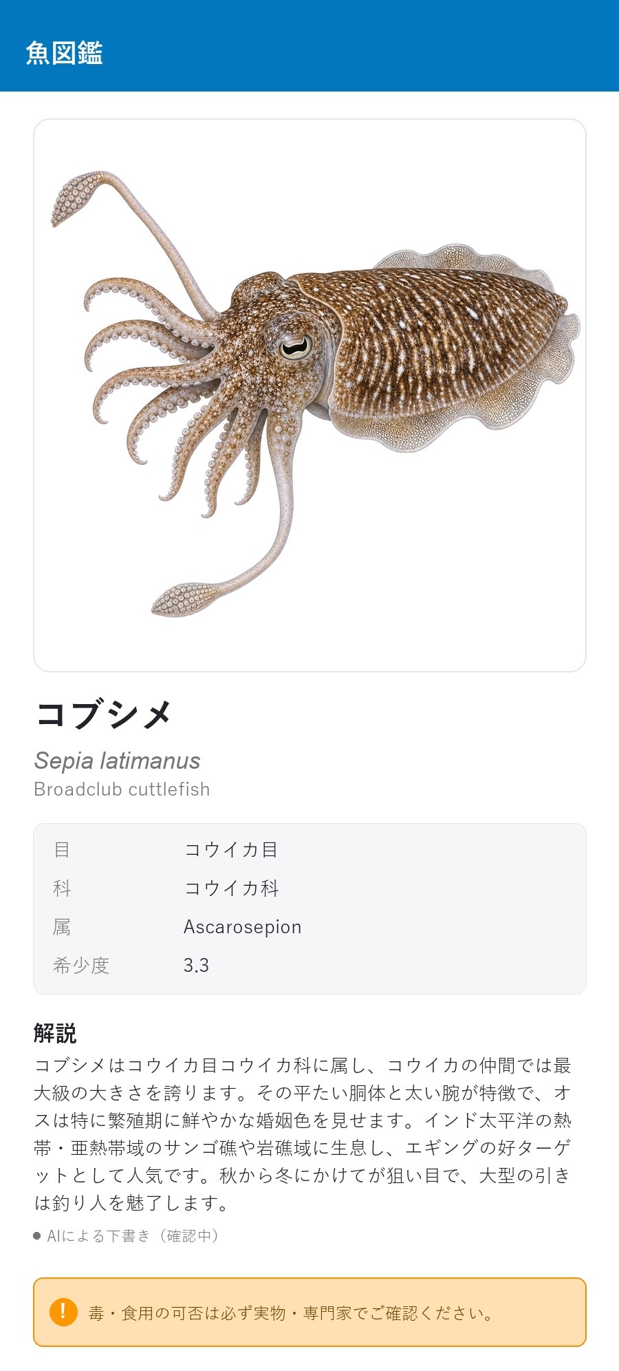 アプリの魚図鑑（日本語表示）でコブシメの白背景イラストを表示している画面