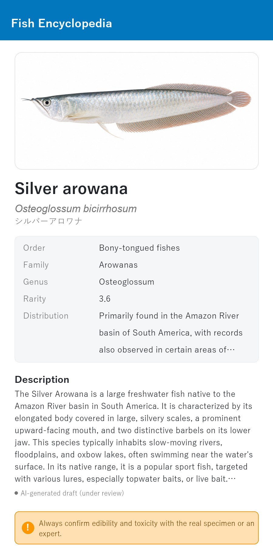 アプリの魚図鑑（英語表示）で、差し替え後のSilver arowanaのイラストを表示している画面