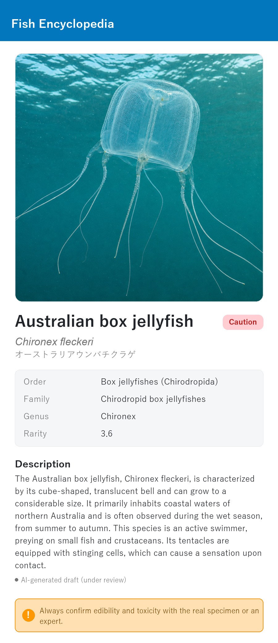 アプリの魚図鑑（英語表示）でAustralian box jellyfishを表示している画面
