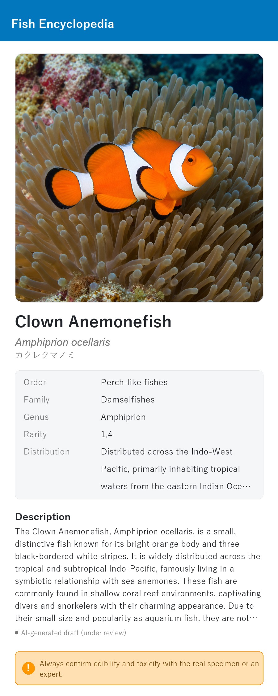 アプリの魚図鑑（英語表示）でカクレクマノミの生息イメージ版イラストを表示している画面