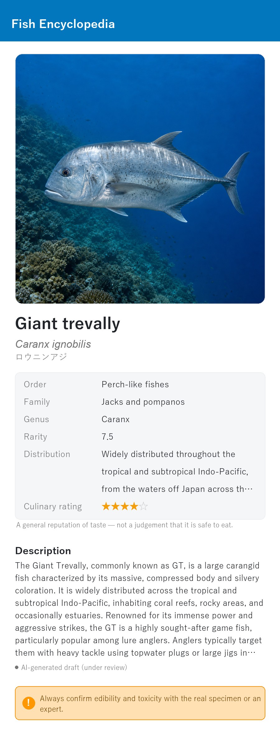 アプリの魚図鑑（英語表示）でロウニンアジの生息イメージ版イラストを表示している画面