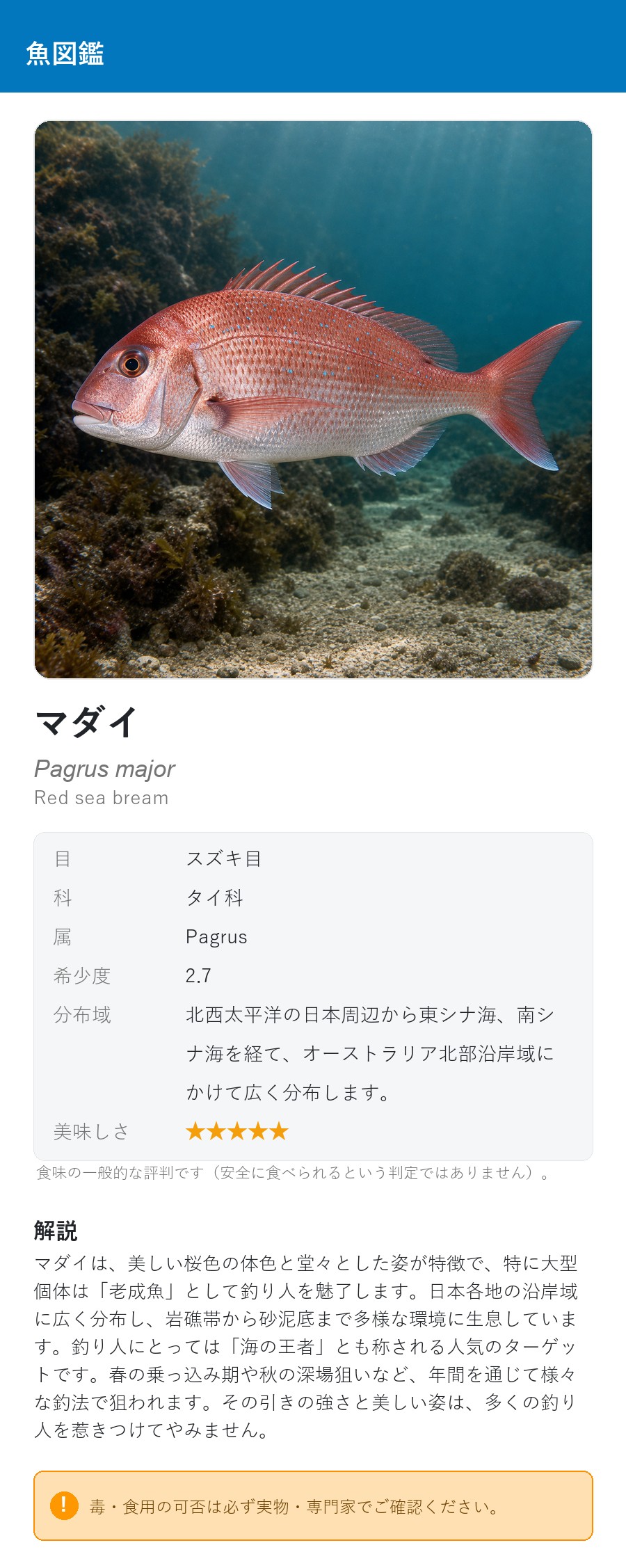 アプリの魚図鑑（日本語表示）でマダイの生息イメージ版イラストを表示している画面