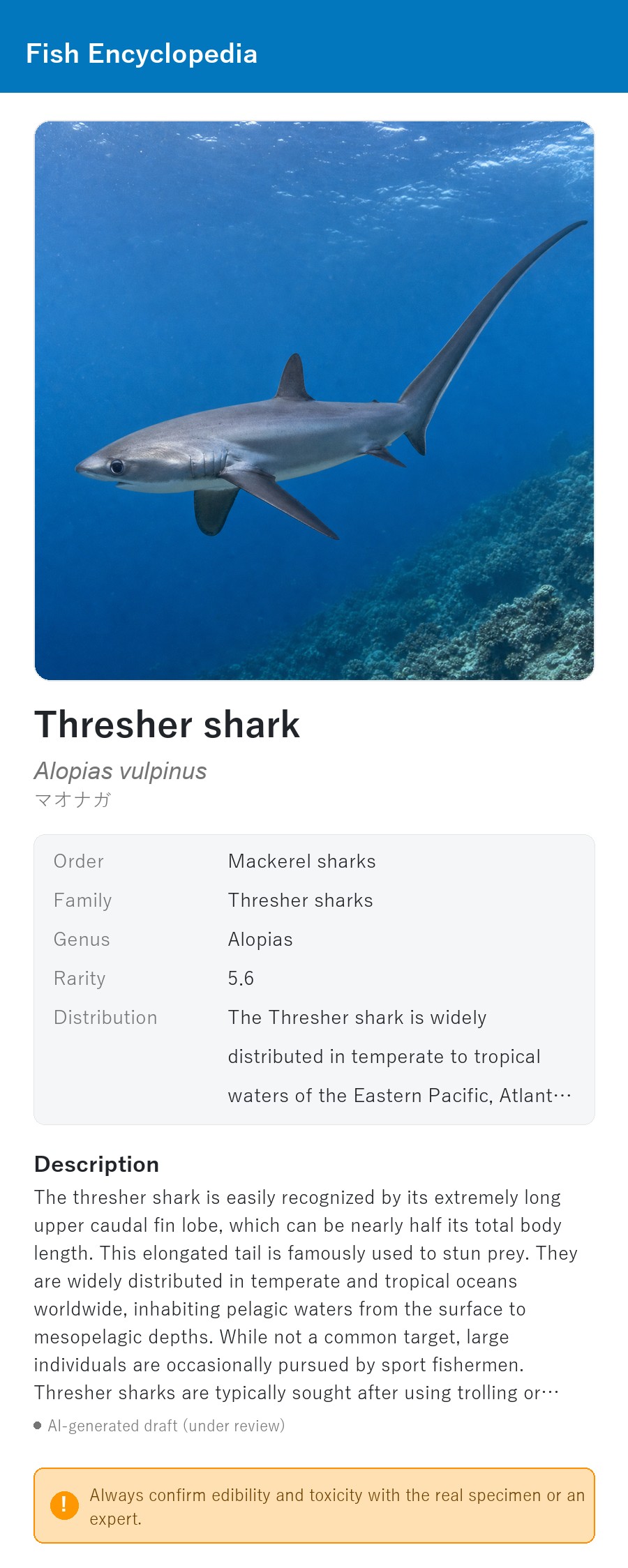 アプリの魚図鑑（英語表示）でマオナガの生息イメージ版イラストを表示している画面
