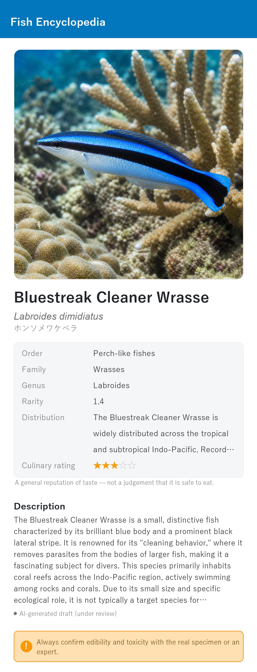 アプリの魚図鑑（英語表示）でホンソメワケベラの生息イメージ版イラストを表示している画面