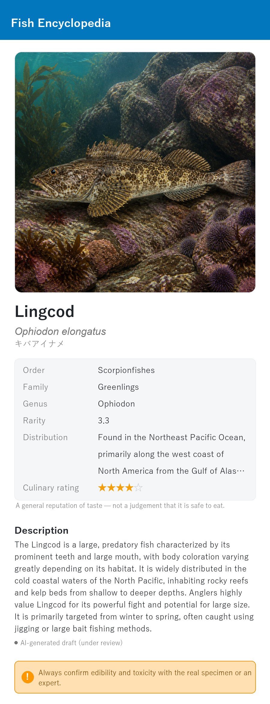 アプリの魚図鑑（英語表示）でキバアイナメの生息イメージ版イラストを表示している画面