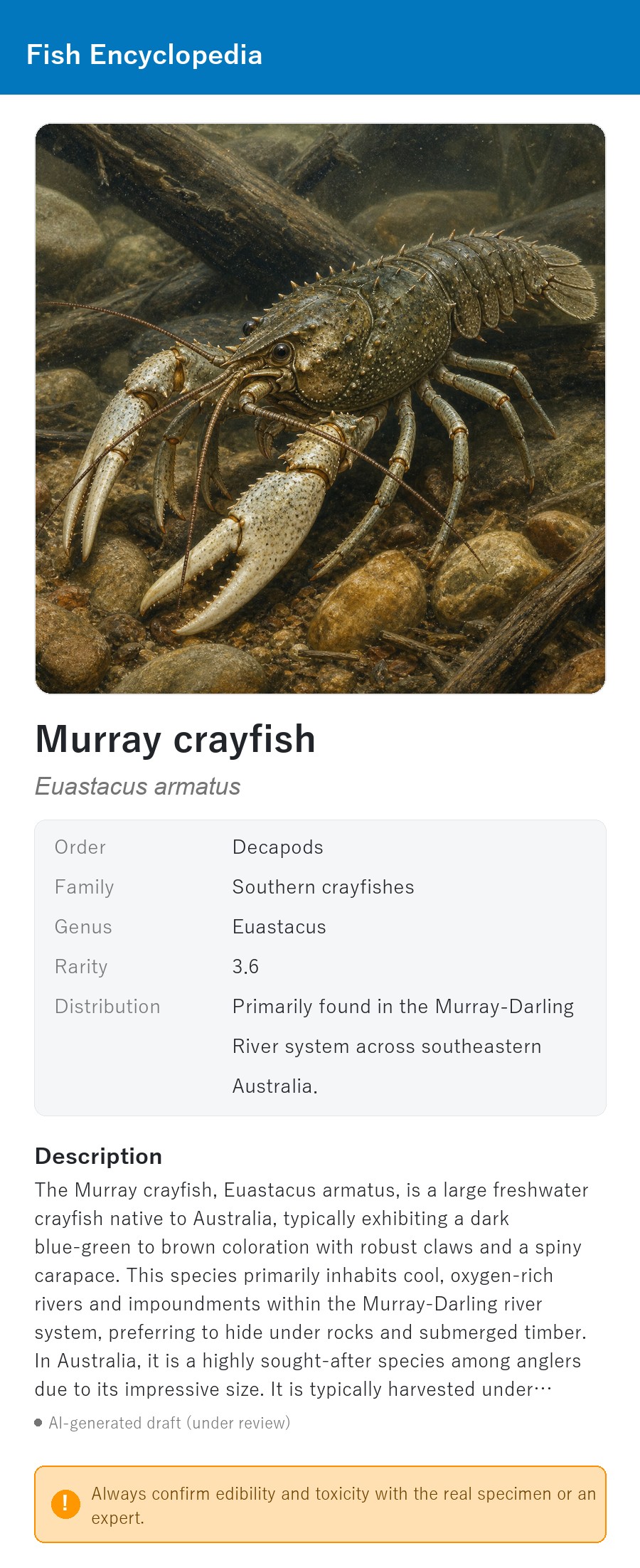 アプリの魚図鑑（英語表示）でオーストラリアの淡水ザリガニの生息イメージ版イラストを表示している画面