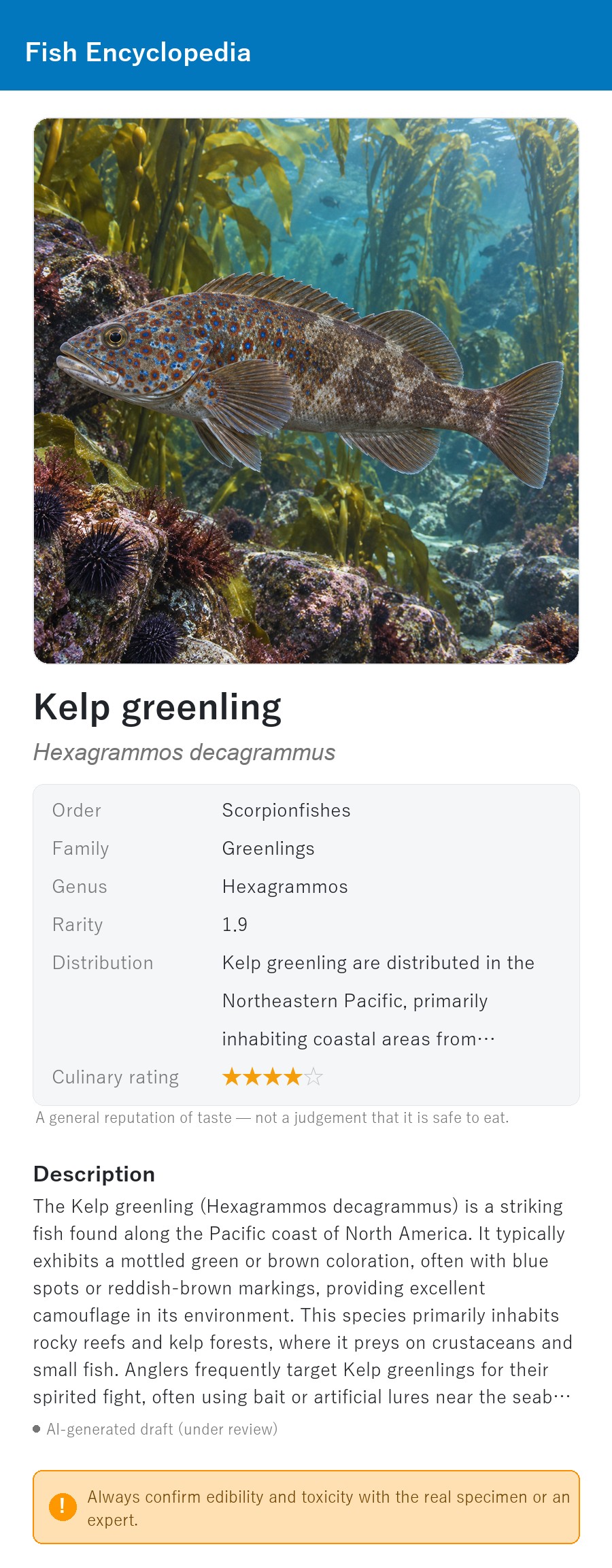アプリの魚図鑑（英語表示）でケルプグリーンリング（アイナメの仲間）の生息イメージ版イラストを表示している画面