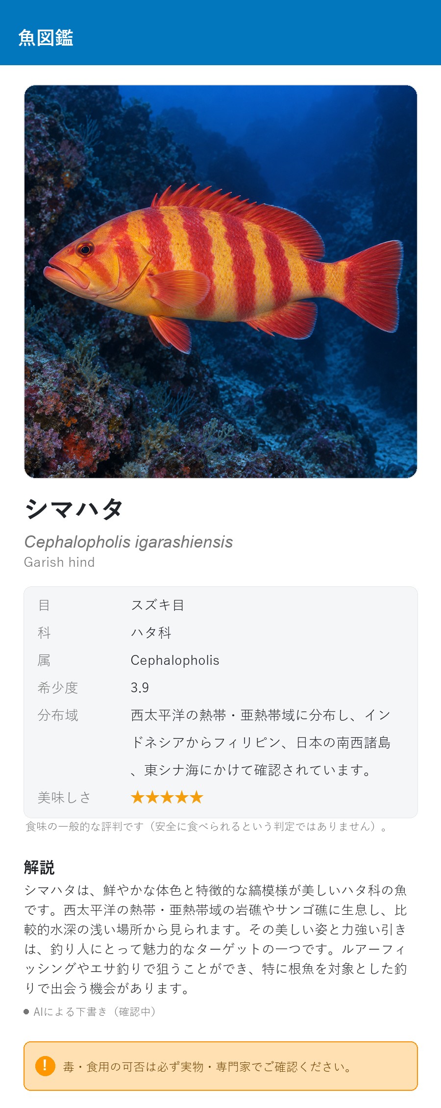 アプリの魚図鑑（日本語表示）でシマハタの生息イメージ版イラストを表示している画面
