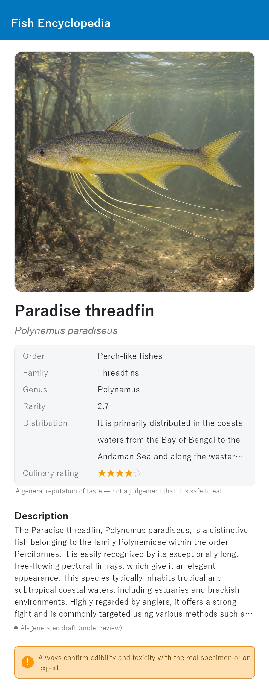 アプリの魚図鑑（英語表示）でパラダイス・スレッドフィン（ガンジス水系のツバメコノシロの仲間）の生息イメージ版イラストを表示している画面