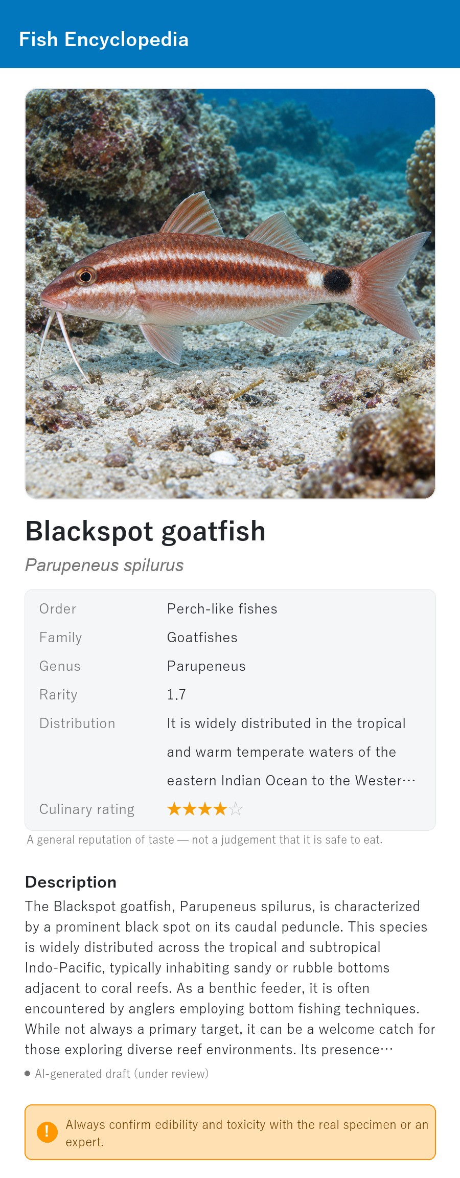 アプリの魚図鑑（英語表示）でオキナヒメジの生息イメージ版イラストを表示している画面