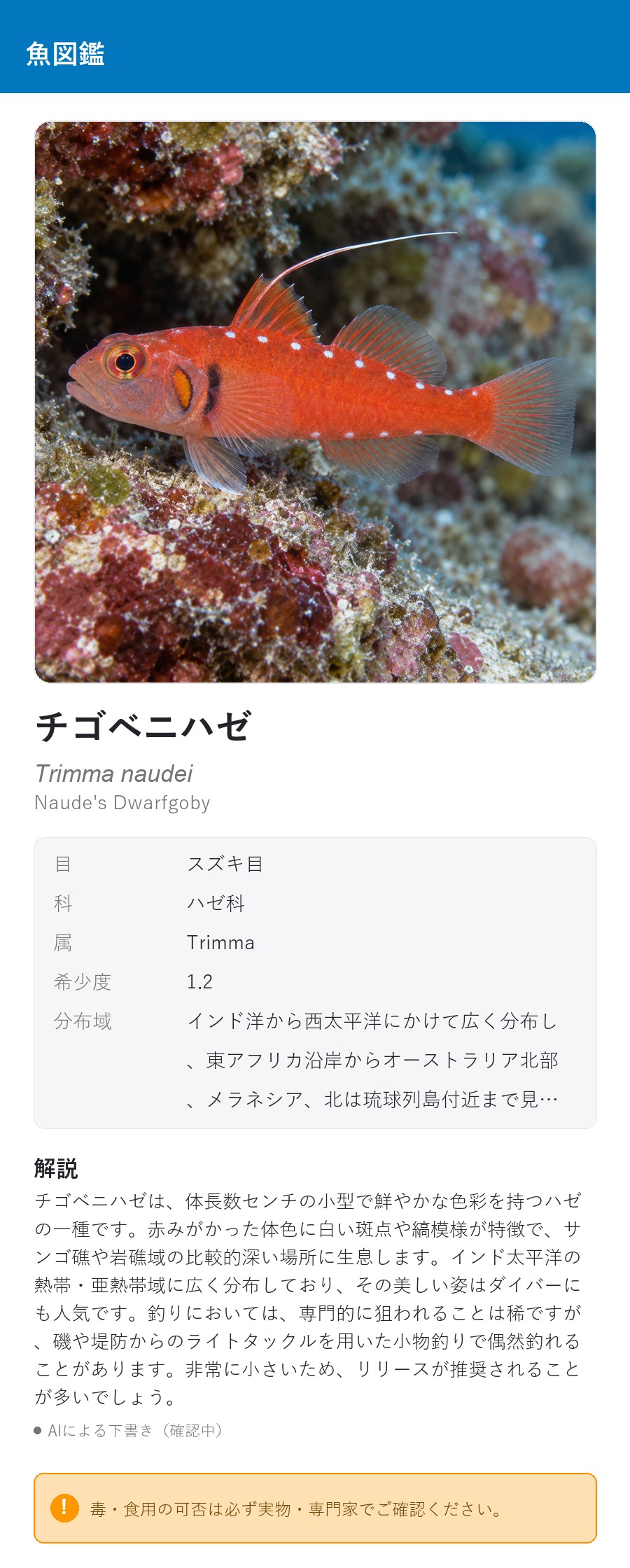 アプリの魚図鑑（日本語表示）でチゴベニハゼの生息イメージ版イラストを表示している画面