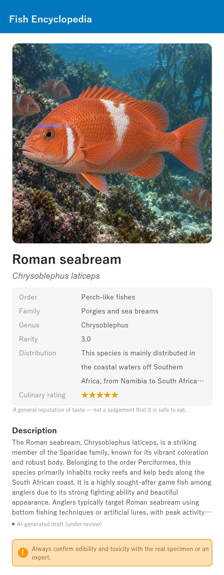 アプリの魚図鑑（英語表示）でローマンシーブリームの生息イメージ版イラストを表示している画面
