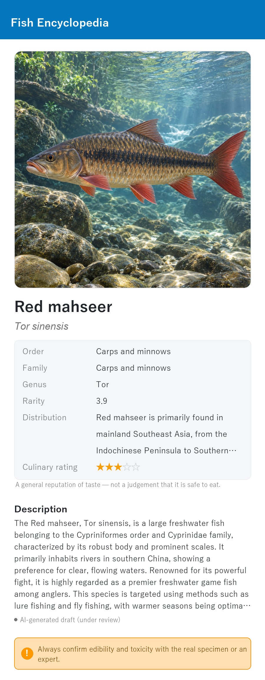 アプリの魚図鑑（英語表示）でレッドマハシールの生息イメージ版イラストを表示している画面