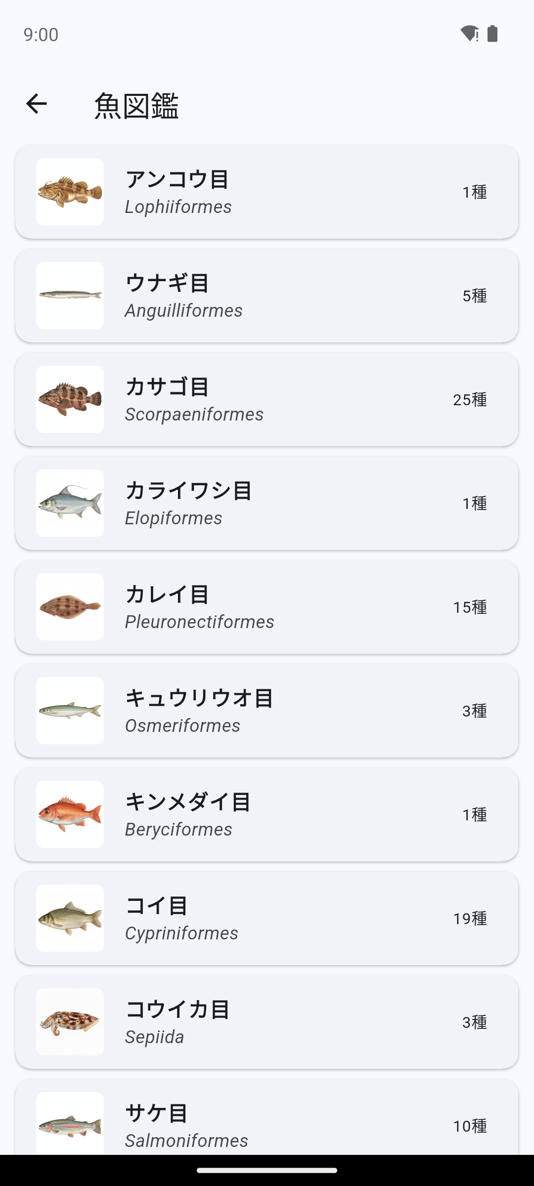 魚図鑑画面
