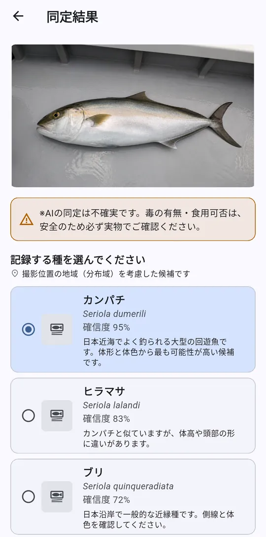 カンパチを候補表示した魚種同定画面（サンプル表示）